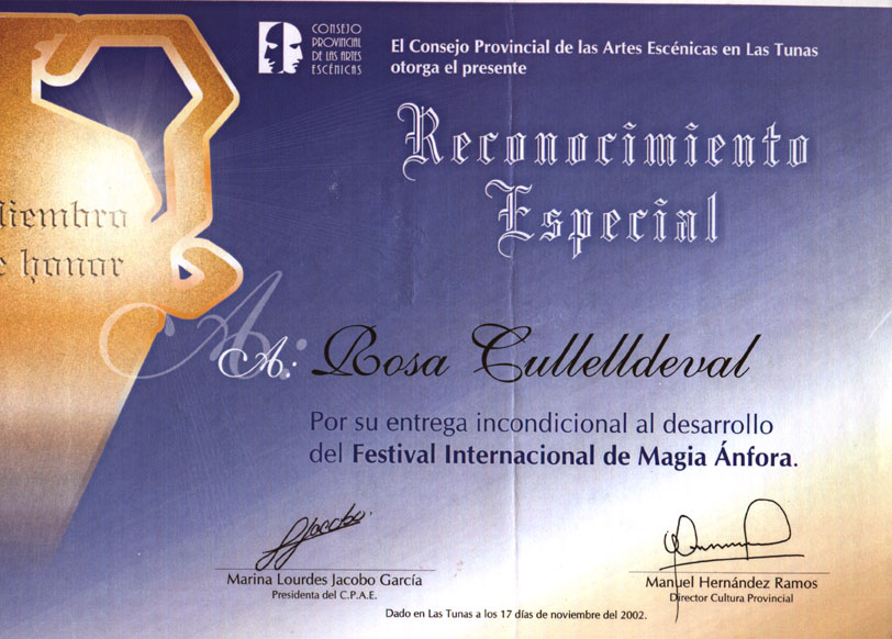 Trayectoria internacional y reconocimientos Diploma Consejo Provincial